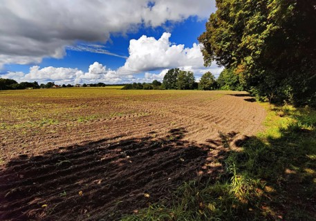 Cultural landscape, Sonnenberg municipality, Oberhavel district, Brandenburg, Germany