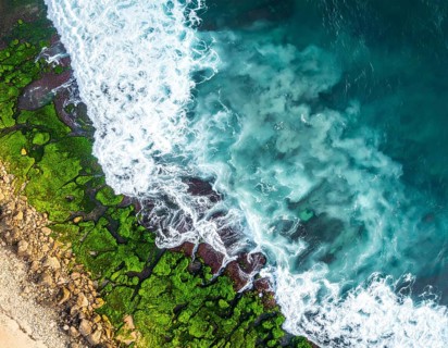 Green algae on the sandy shore of an ocean. Fascinating phenomenon of wild coastline with green