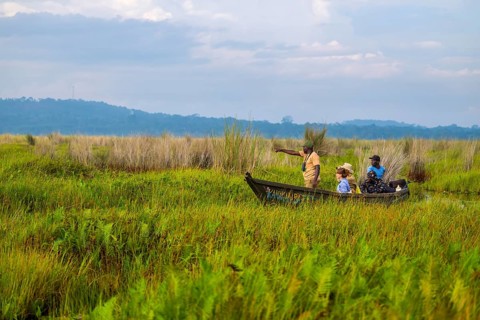 Boat with tourists in Mabamba Swamp, Tourists, Mabamba Swamp, Lake Victoria, Uganda
