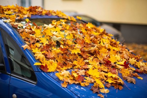 A car is covered with a thick layer of autumn leaves in autumn, Wuppertal, Germany