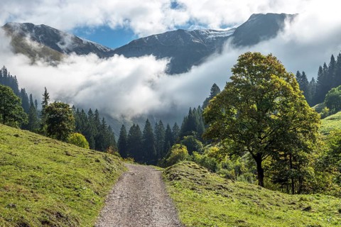 Hiking trail in the Dietersbachtal from Gerstruben to Alpe Dietersbach, Nebelschwanden hang in the