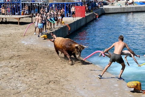 Bous a la Mar Fair, in English Bulls in the Sea, Bullfighting, Javea or Xàbia, Alicante Province,
