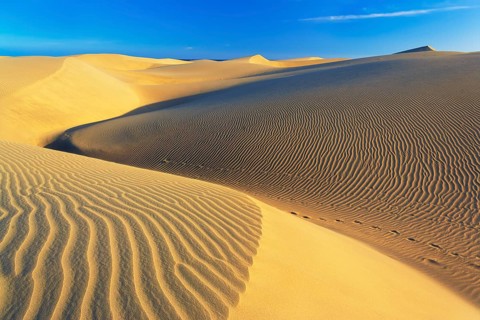 Sand dunes, Maspalomas, Playa del Ingles, Gran Canaria, Canary Islands, Spain