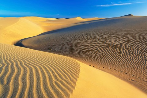 Sand dunes, Maspalomas, Playa del Ingles, Gran Canaria, Canary Islands, Spain