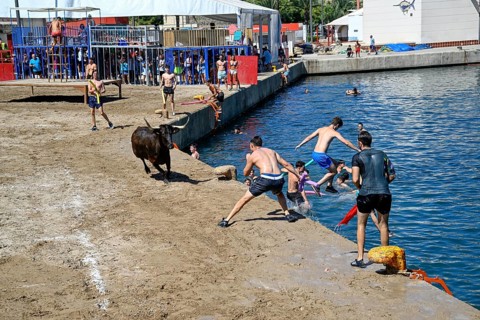 Bous a la Mar Fair, in English Bulls in the Sea, Bullfighting, Javea or Xàbia, Alicante Province,