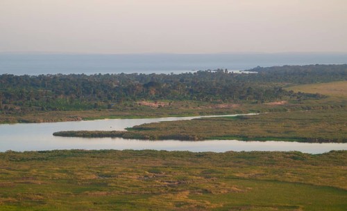 Landscape, Lake Victoria and Mabamba Swamp, Lake Victoria, Uganda