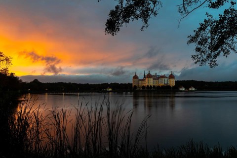 Moritzburg Castle in the blue hour, castle pond, reflection, sunset, common reed (Phragmites