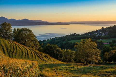 Panorama, Lake and mountains, Tour-de-Gourze, Riex, Sunset, Lavaux, UNESCO World Heritage Site,