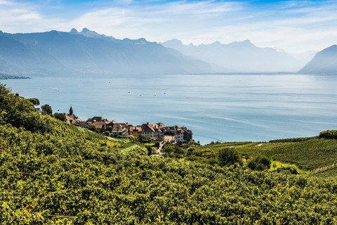Picturesque village in the vineyards by the lake, Rivaz, Lavaux, UNESCO World Heritage Site, Lake