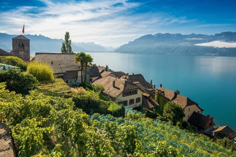 Picturesque village in the vineyards by the lake, Saint-Saphorin, Lavaux, UNESCO World Heritage