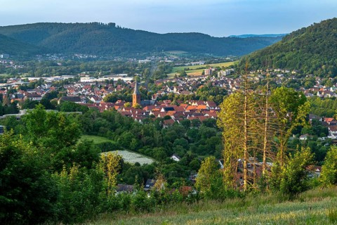 Elevated view of the historic old town of Lügde, Teutoburg Forest, North Rhine-Westphalia, Germany