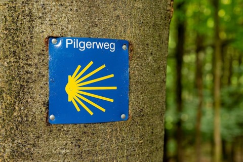 Sign with blue and yellow scallop shell and pilgrimage route lettering on a tree to mark the Way of