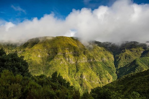 View from Levada Velha of the lush green wooded slopes of the pristine Rabaçal valley, a nature