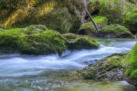 Erlauf Gorge, Purgstall an der Erlauf, Lower Austria, Austria
