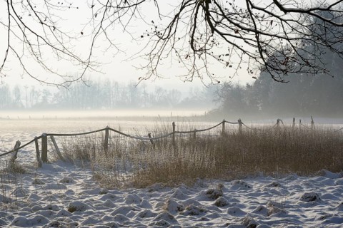 Winterlandschaft, aufsteigender Bodennebel im Licht der Morgensonne, Nordrhein-Westfalen,