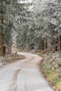 Forest road going through a mixed forest white from roarfrost on a sunny day in winter, Bavaria,