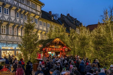 Christmas market and Christmas forest in the old town centre of Goslar at dusk, Lower Saxony,
