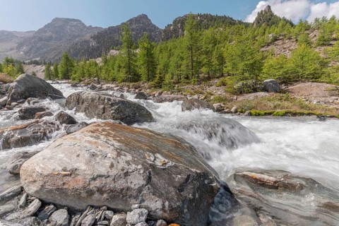 A rushing river cascades over smooth stones, surrounded by lush green trees and majestic mountains.