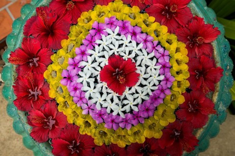 Flower decoration made of blossoms in a luxury resort, Klong Khong Beach, Sala Dan, Ko Lanta, Koh
