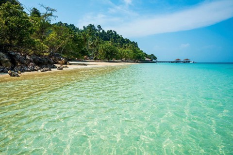 White sandy beach and coconut palms, Sunrise Beach, Koh Great white shark, Ko Ngai, Krabi Province,