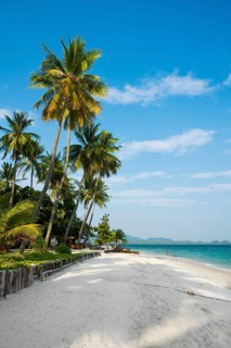 White sandy beach and coconut palms, Pearl Beach, Koh Mook, Trang Province, Southern Thailand,