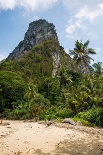 White sandy beach and coconut palms, Sabai Beach, Koh Mook, Trang Province, Southern Thailand,