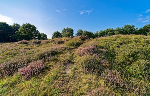 Ripple-crowned dune area in the Schleswig-Holstein municipality of Jörl. The nature reserve Düne am