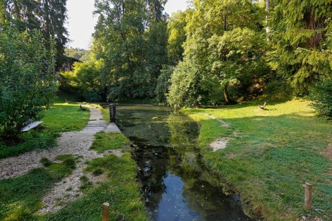 Lauter spring, Große Lauter, karst spring, body of water, park, idyll, meadow, lawn, trees,