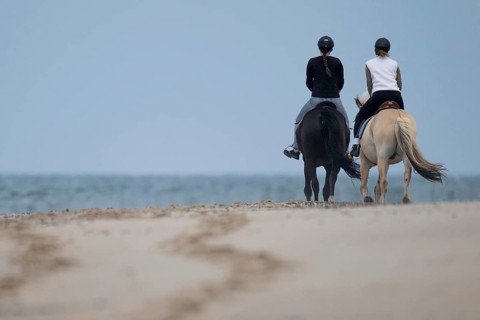 Two riders on the beach, near Hvide Sande, North Sea, Denmark