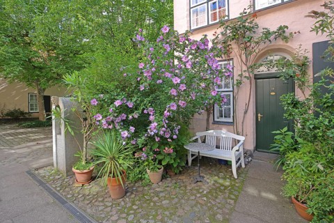 Idyllic Füchtingshof with floral decoration, garden hibiscus, Hibiscus syriacus, benches,