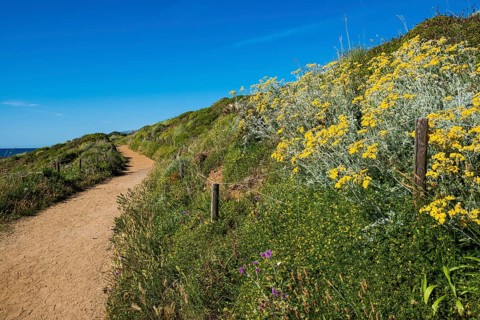 Picturesque hiking trail on the coast, Sentier du littoral, Cap Taillat, Saint Tropez, Var, French