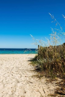 Sandy beach beach, Plage de Tahiti, Saint Tropez, Var, French Riviera, Provence-Alpes-Cote d'Azur,
