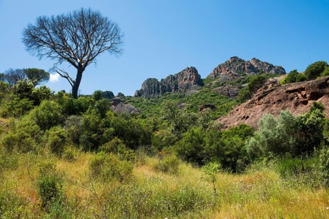 Rocher du roquebrune, Roquebrune-sur-Argens, near Saint-Raphaël, Massif de l'Esterel, Esterel
