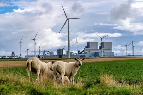 RWE coal-fired power plant Eemshavencentrale, in the seaport of Eemshaven, operator RWE Power, wind