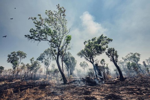 Bushfires in the Australian outback