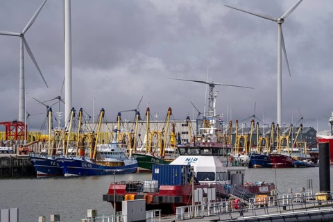 Fishing boats in Beatrixhaven, the seaport of Eemshaven, industrial harbour, at the quay,