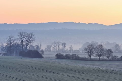 Meadows and trees in the early morning mist in the light of dawn, Reusstal, Aristau, Freiamt,