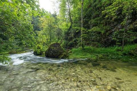 Wild and romantic Weißbach Gorge near Inzell