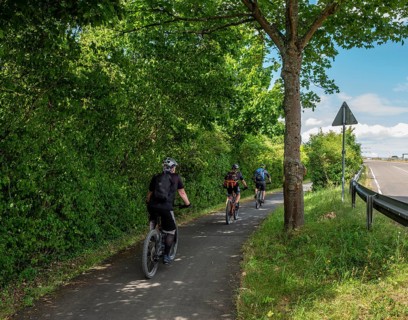 Cyclist on a cycle path between corn fields and trees along the route between Frankfurt am Main and