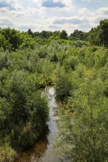 Bottrop, North Rhine-Westphalia, Germany - Renaturalised Boye, the tributary of the Emscher, was