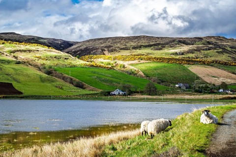 Farms over Loch Harport, Drynoch, Isle of Skye, Scotland, UK