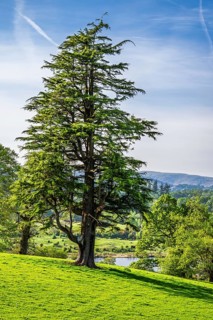 Farms in Lake District National Park, Cumbria, England, United Kingdom
