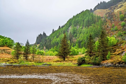 Ault a'chruinn, Loch Duich, Scotland, UK