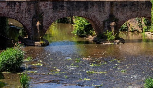 The old town centre with the town wall and the Seemenbach stream, Büdingen, Hesse, Germany