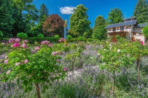 Rosarium with blooming roses in front of the Pompeian-Bavarian Casino on the Rose Island in Lake