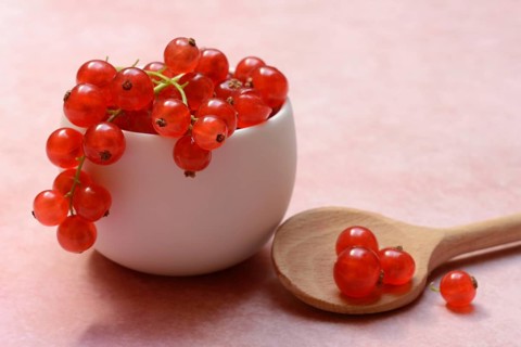 Redcurrants in small bowls and wooden spoon, Ribes rubrum