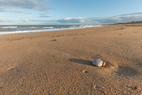 Soft golden sand stretches along the shore as gentle waves lap at the coastline during sunset,
