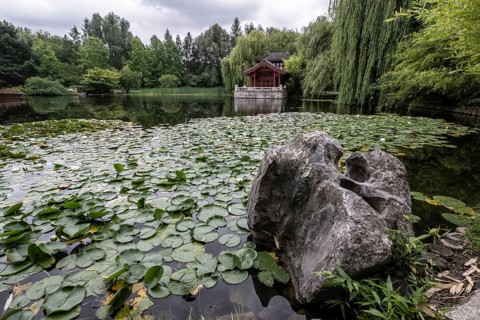 Chinese Garden, Gardens of the World, Berlin, Germany