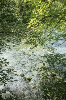 Mangfall near Bruckmühl, district of Miesbach, Upper Bavaria, Bavaria, Germany