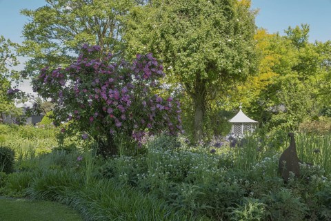 District educational garden, Burgsteinfurt, Münsterland, North Rhine-Westphalia, Germany
